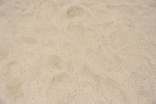 砂浜