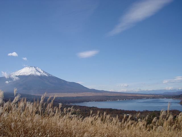 パノラマ台から見た富士山と山中湖