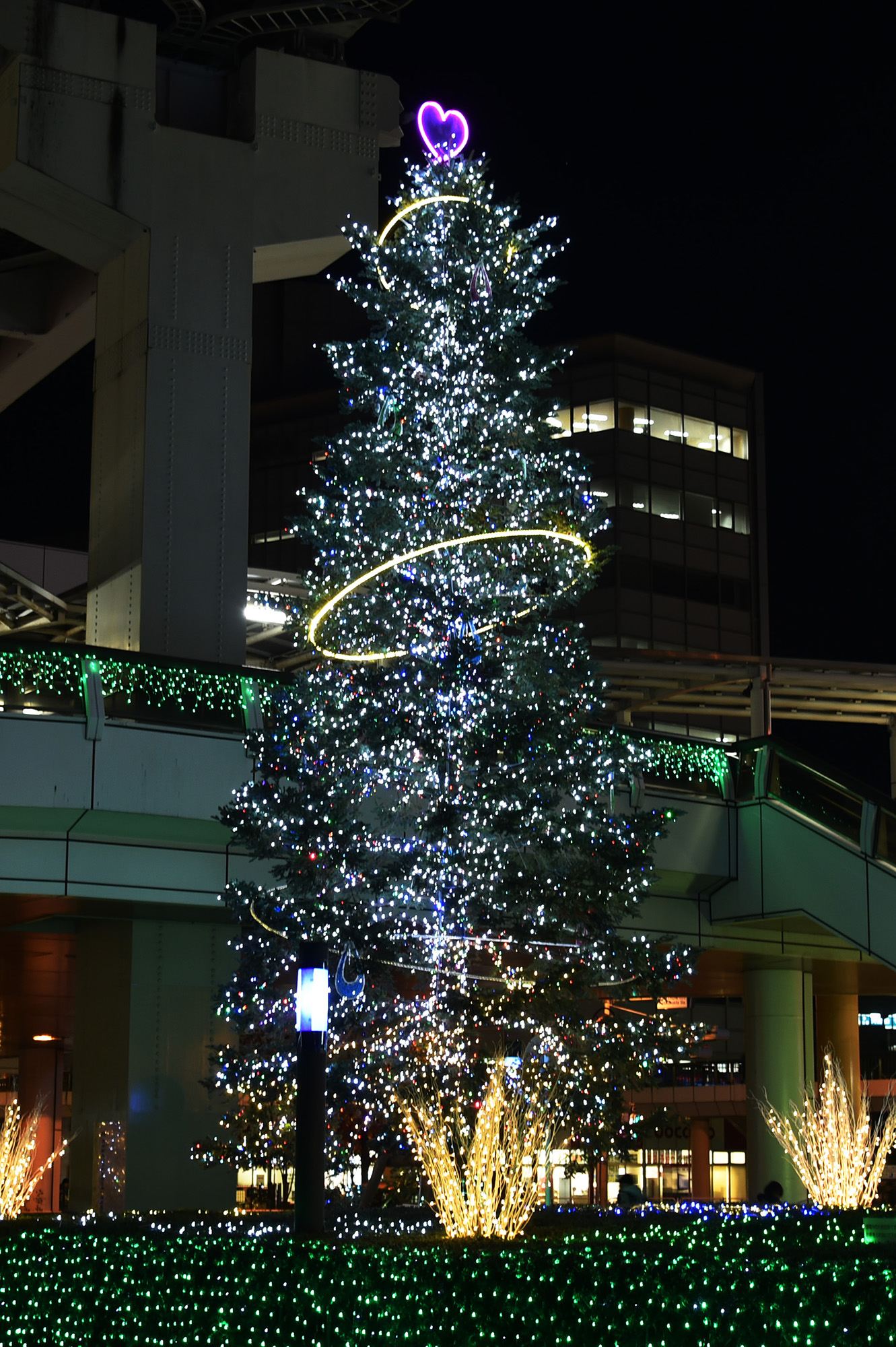 写真素材無料サイトT-Photo Share(フォトシェア) / クリスマスツリー